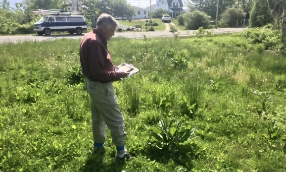 Taking note of plant species at Ice Pond