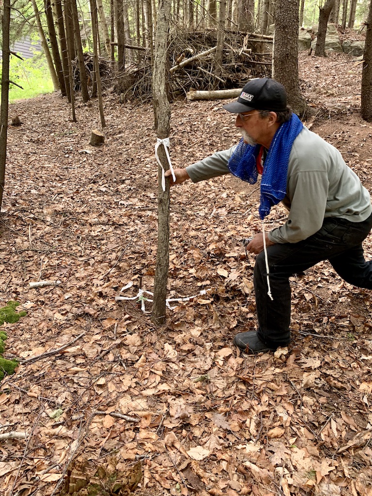 Tom Bergh checks a survey marker in Skillings Woods