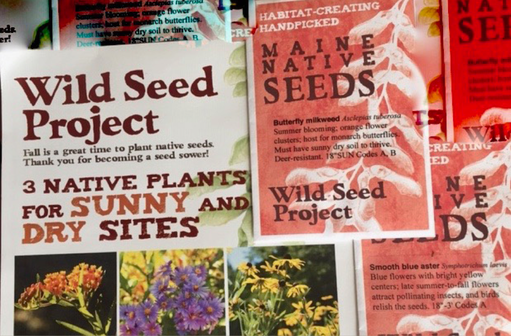 Wild Seed Project