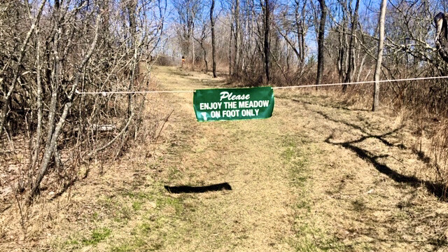 The Meadow on Cliff Island