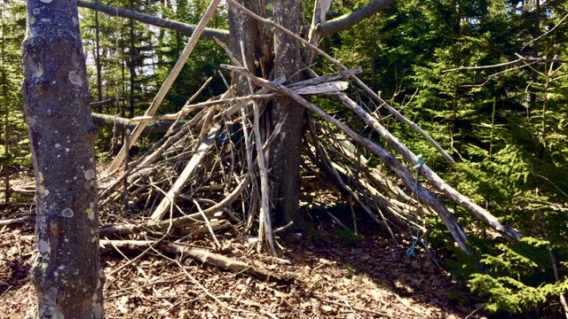The Meadow on Cliff Island