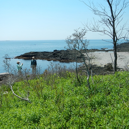 Gardiner Easement