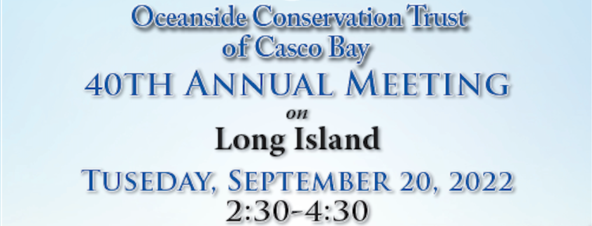 2022 Annual Meeting